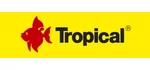Tropical Fish