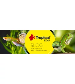 Tropical a lengyel akvarisztikai márka