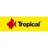 Tropical Fish