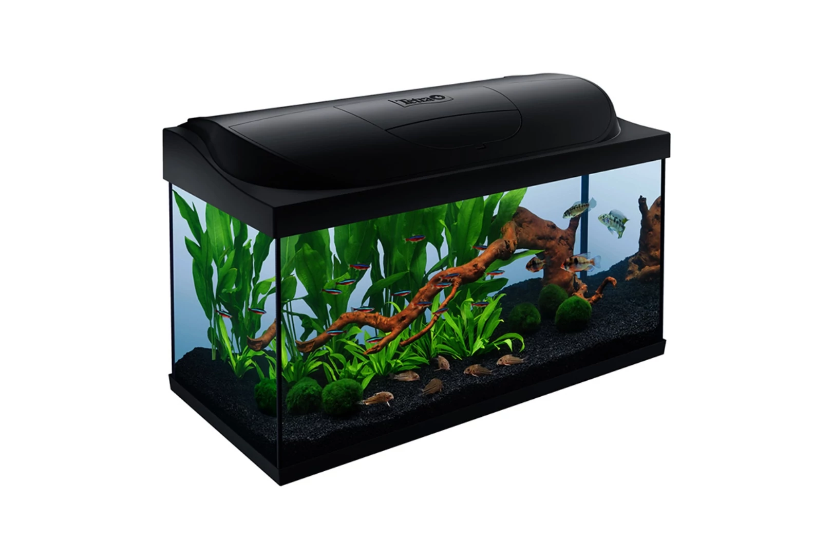 Tetra Starter Line LED, kompletten + LED világítással Szé 75 x Mag 40 x Mély 35, vil. 16 w 105 L TT305656